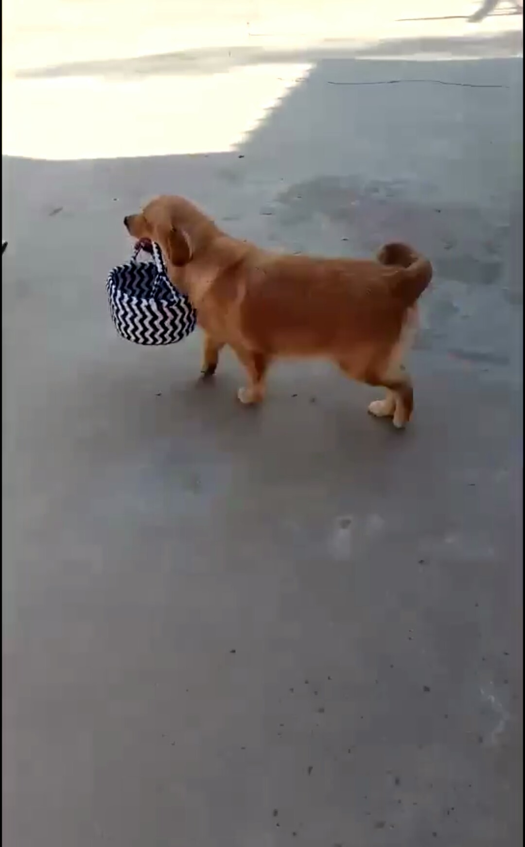 编筐图文,编筐立体花形教程