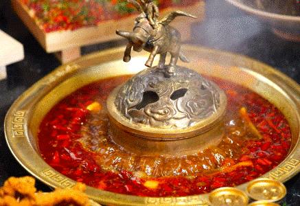 把菜园搬到餐厅,把菜园搬到家门口