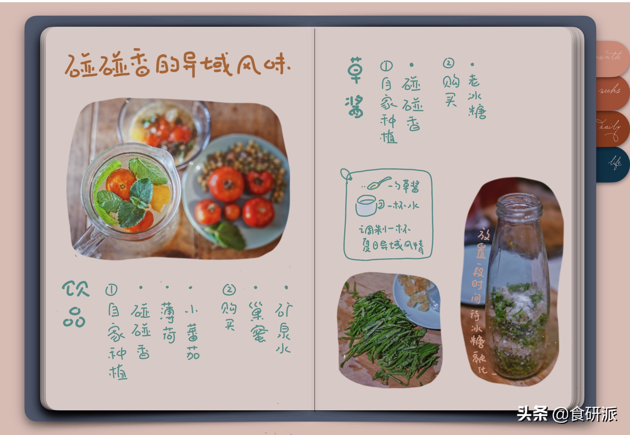 夏天养什么植物驱赶蚊子,家里蚊子多养什么植物