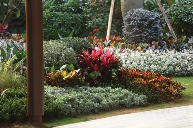 深圳光明星河天地花园一期展示区,深圳光明星河天地花园一期平面图