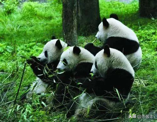 中国38处世界文化遗产全名单,中国的53个世界遗产大全