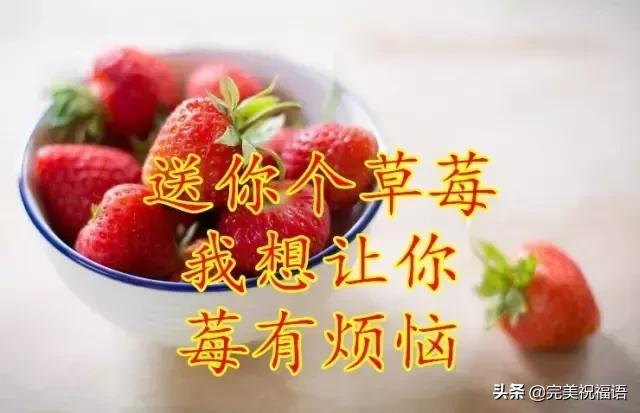 今日芒种愿所有付出都有收获,芒种种下祝福和希望