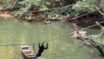 广州和珠海长隆一起玩攻略,广州珠海长隆旅游攻略5天四晚