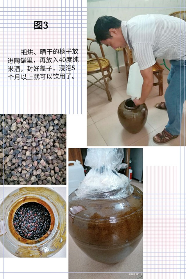 稔子酒怎么制作,稔子浸酒方法视频