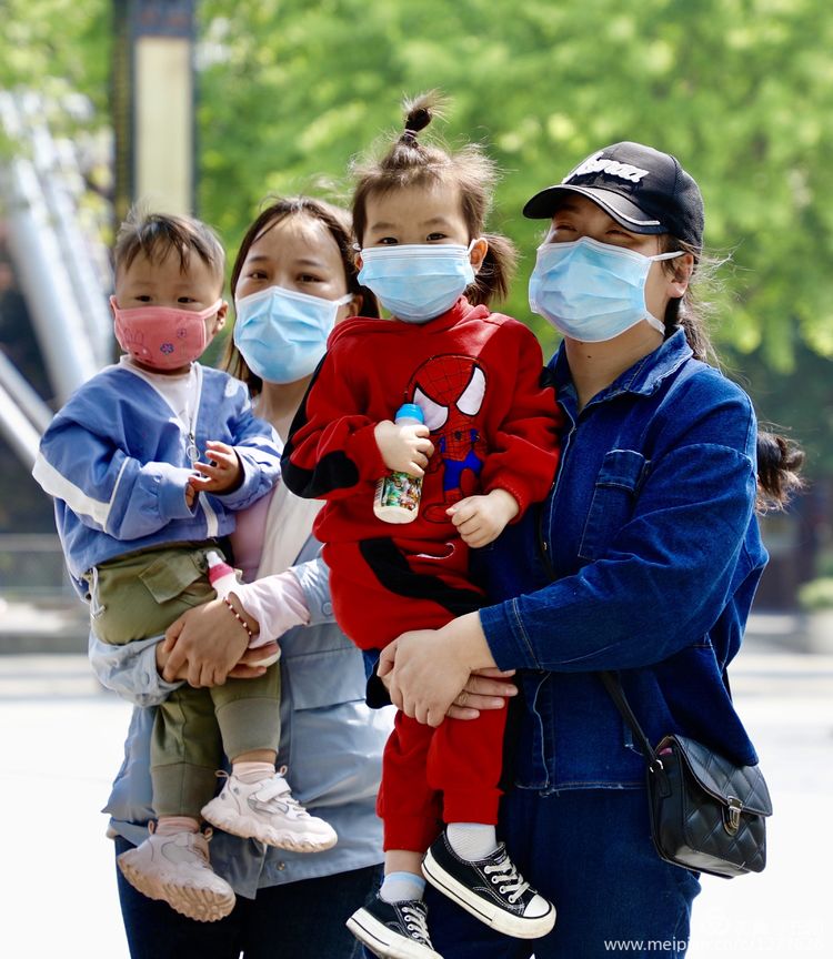 看洛阳牡丹花卉节,洛阳古都牡丹花展