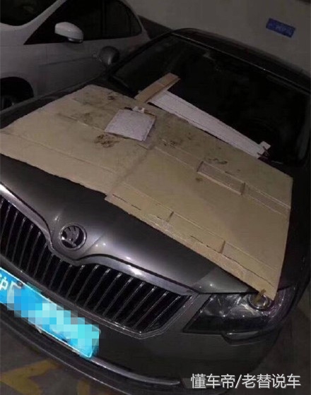 冬天车机舱有动物进去怎么解决,冬天动物进汽车发动机怎么办