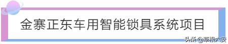 安徽六安有没有赚钱项目,六安新型创业项目