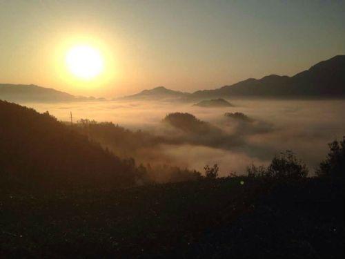 茶香一味品人生百味,茶香一味悦享人生
