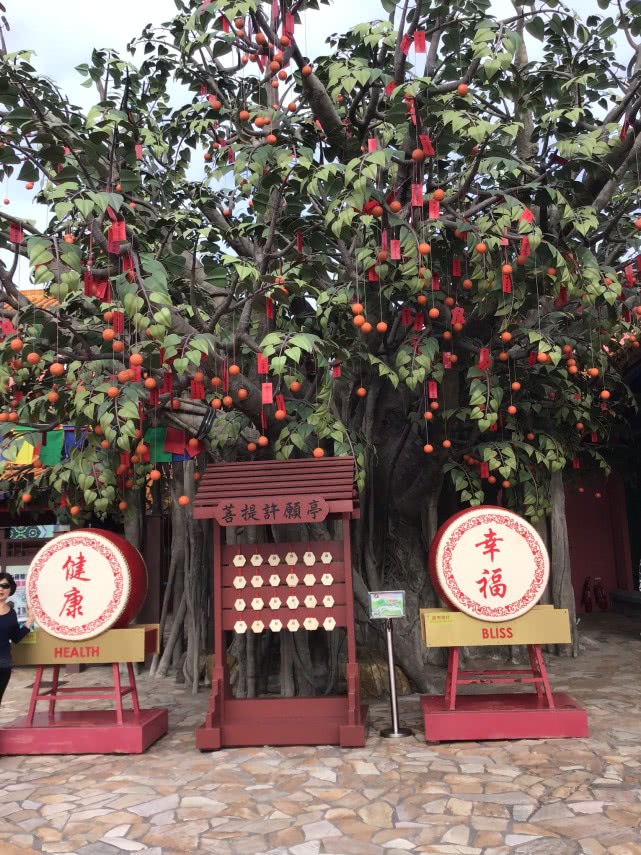 香港东涌绿道长廊 (香港东涌购物攻略)