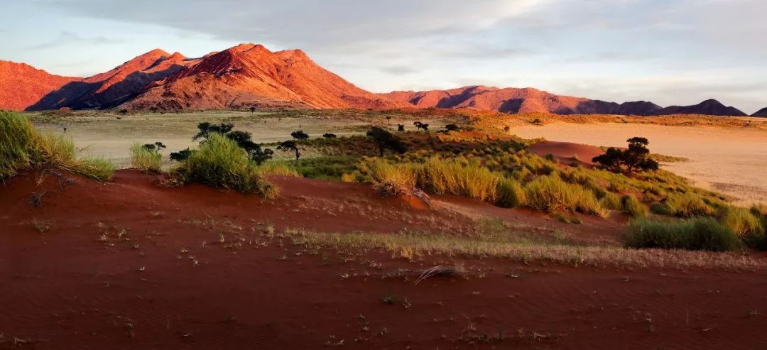 trip是长途还是短途旅行,traveltriptour区别