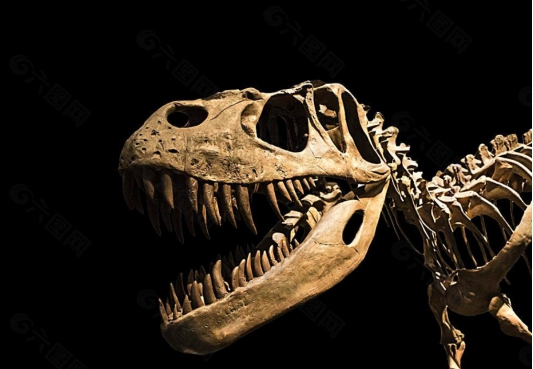 科学家对恐龙的发现,科学家如何知道恐龙是几亿年前