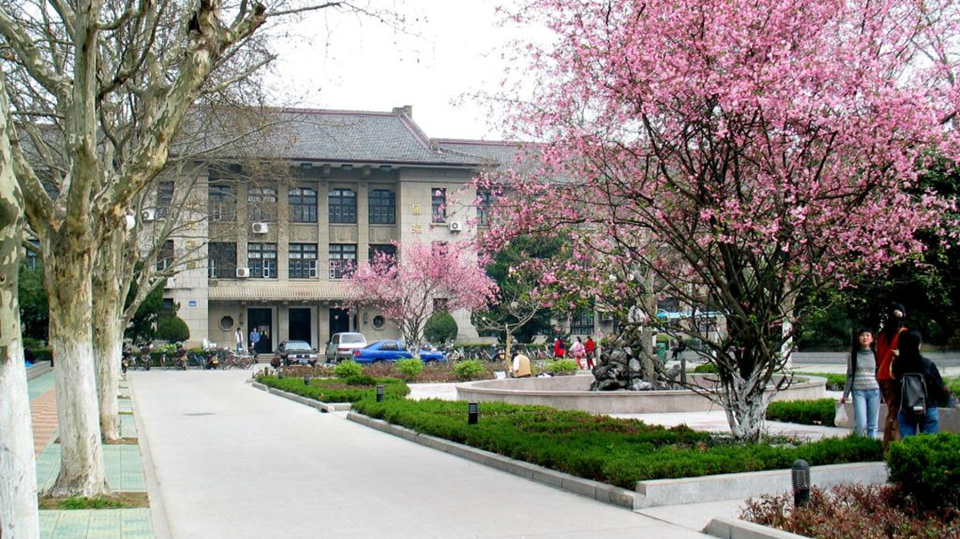 2023年大学排行榜安徽,大学排名2019安徽