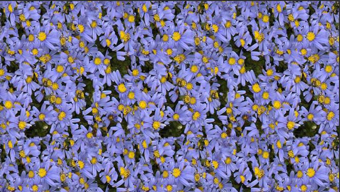 ps怎么用油漆桶上色填充图案,PS如何使用油漆桶工具填充颜色