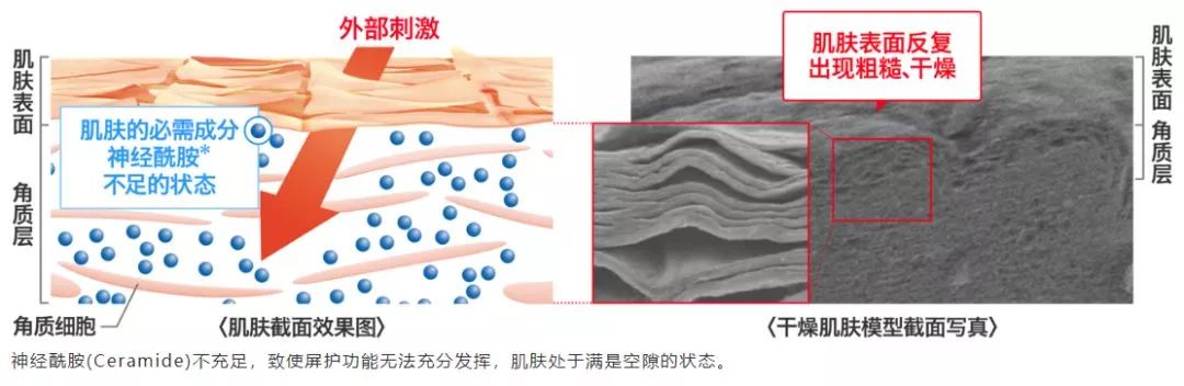 日本curel珂润水乳霜测评,日本curel珂润淡纹紧致滋养面霜
