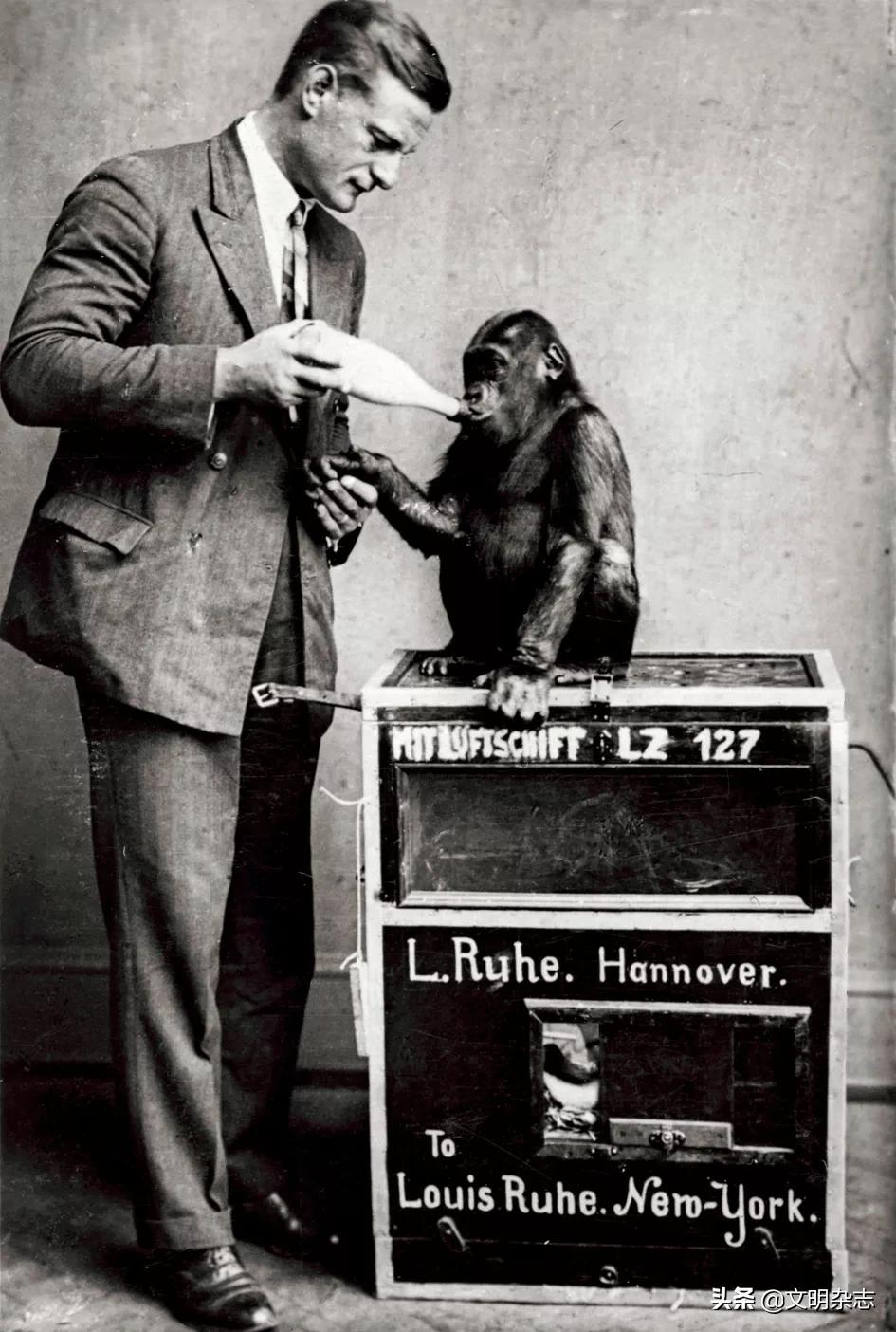 飞艇时代的辉煌,飞艇使命召唤