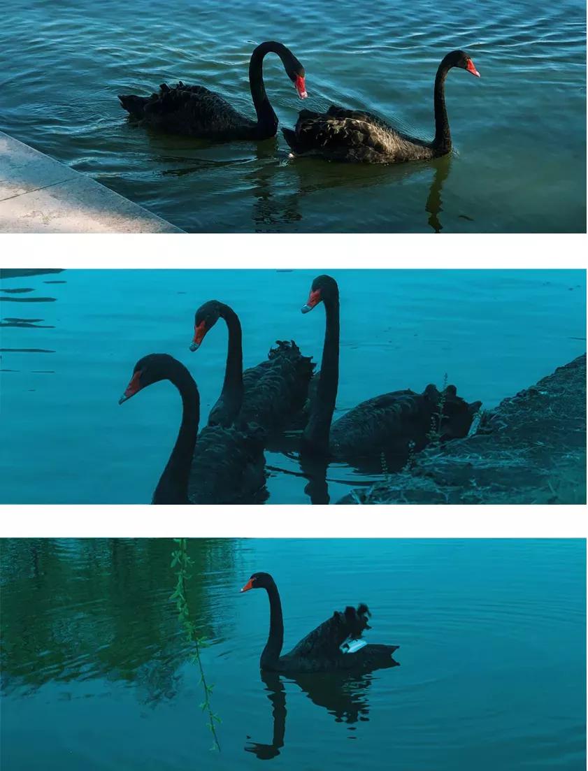 安徽合肥大学二本院校,安徽二本高校