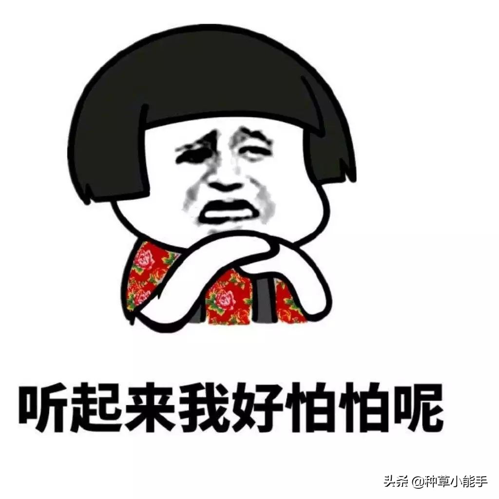 全球购买神仙水,230元的神仙水是真的吗