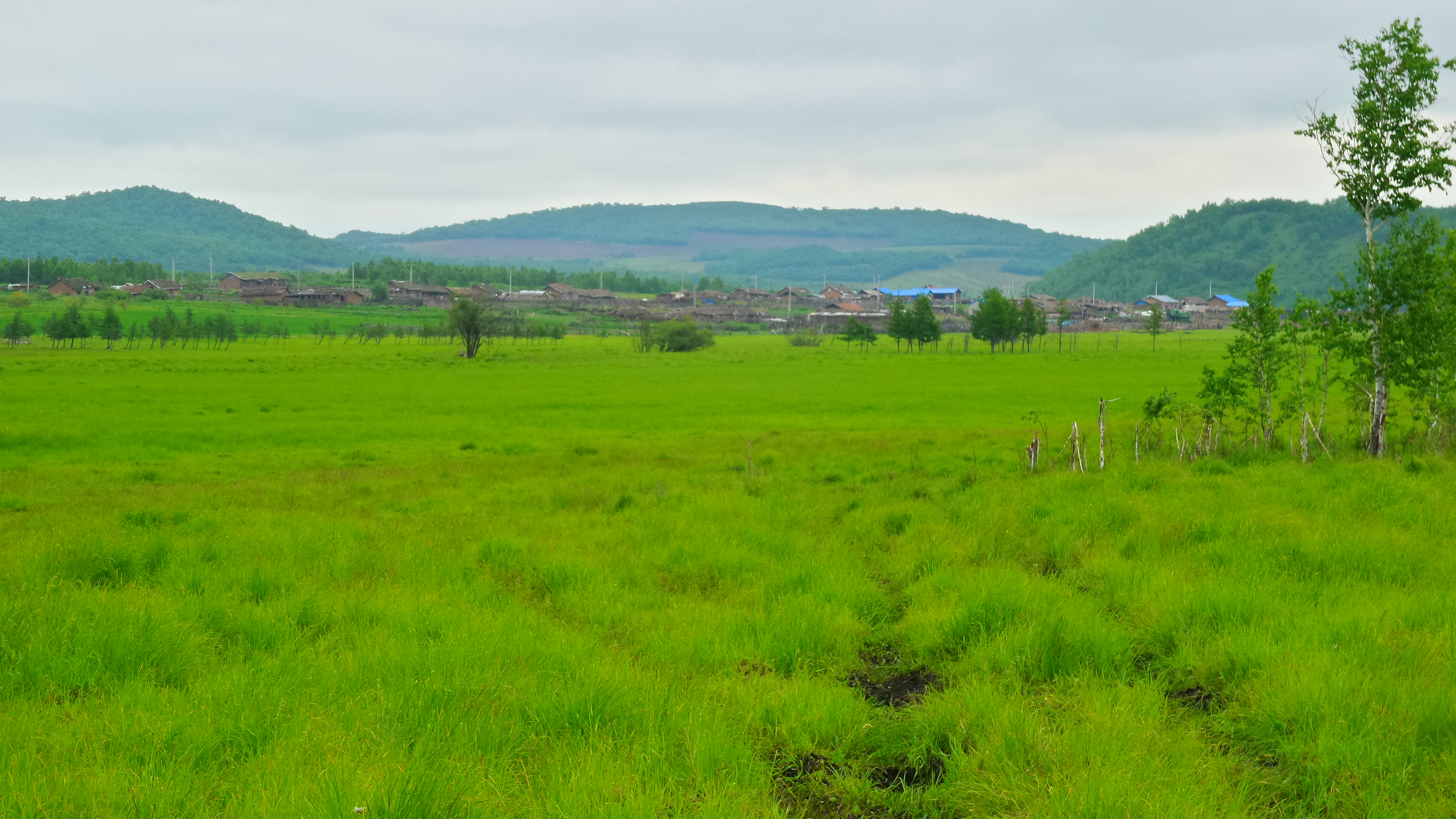 大山里的苦日子视频,你见过最苦的生活是什么样的