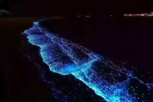 ￥788住惠州双月湾君廷度假酒店~雅致海景房~畅游网红无边际泳池