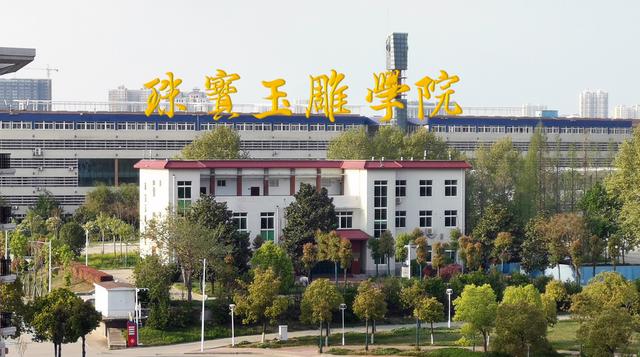 南阳师范学院珠宝玉雕是什么系,南阳师范学院珠宝雕刻