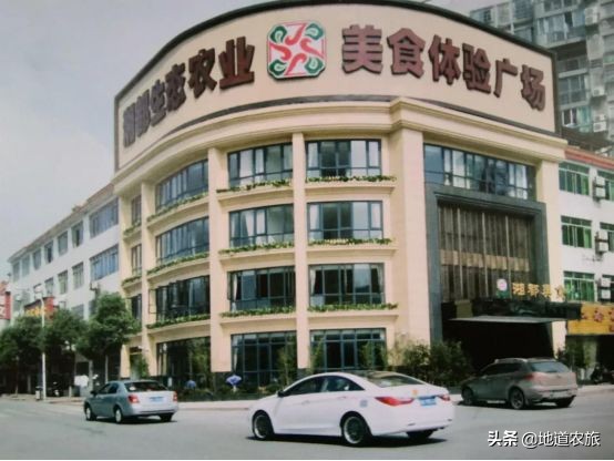 宁乡大成桥湘都生态农业园是什么,宁乡湘都生态农业园鹿岛