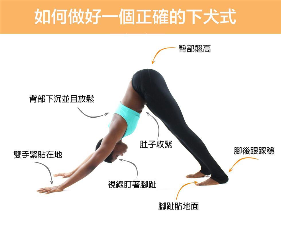 下犬式抬腿瘦腿,狗爬式减肥动作