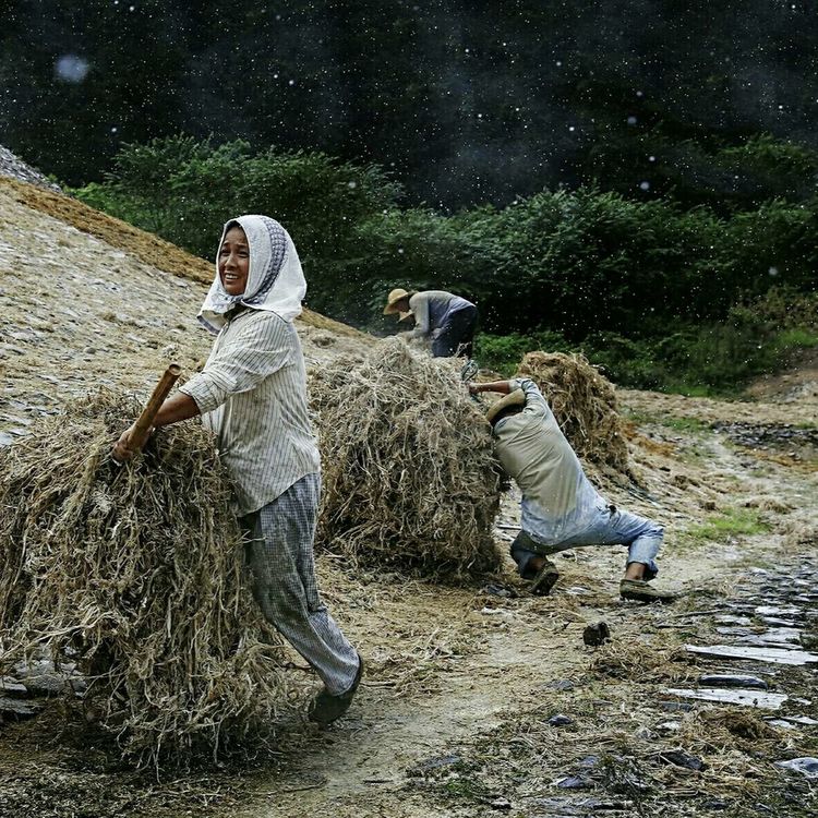 独家首创6大国赛助力国协积分）徽州百工景德镇瓷都人文风光摄影