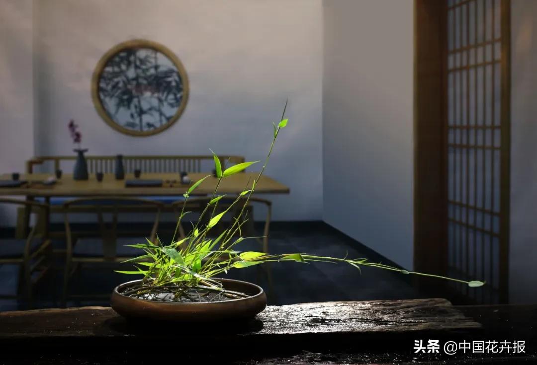 新手花店怎么玩抖音挣钱,抖音花店赚钱攻略