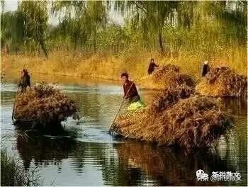 回忆一下生产队年代,回忆生产队的年代