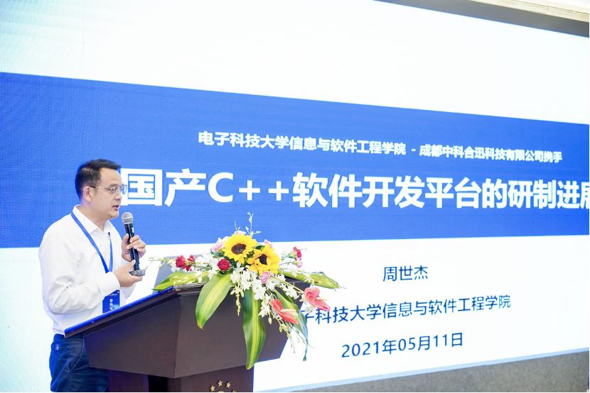 自主软件开发平台,软件开发自主可控