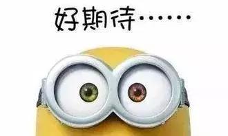 双流区绿化景观,双流县景观花园设计