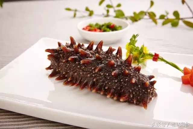 海参怎么吃才是正确的,海参到底怎么吃最佳