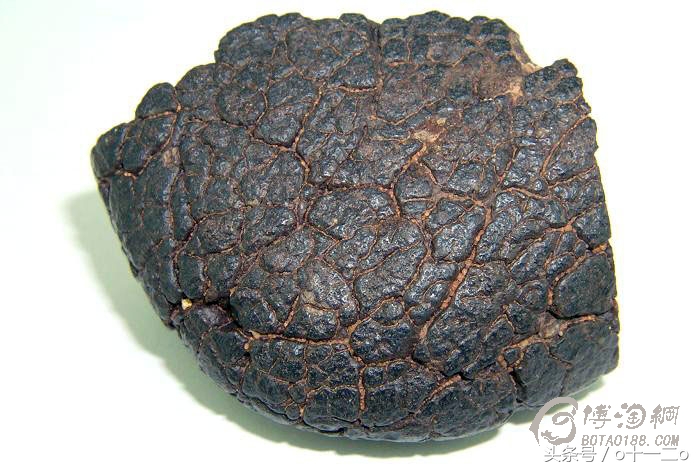 如何分辨陨石是来自哪里,识别陨石方法是否具备陨石特性