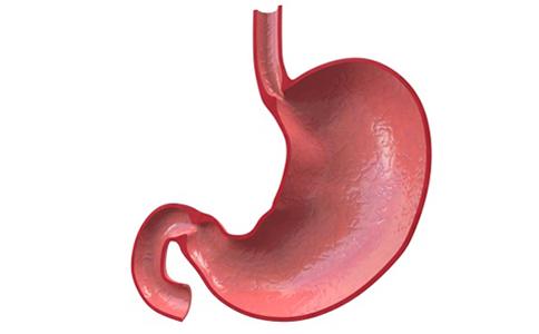 胃息肉有什么症状及表现,胃息肉的症状如何表现