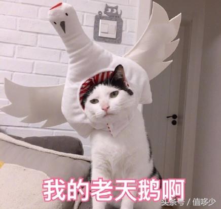 代购的深刻反省,收到代购假货居然还被骂