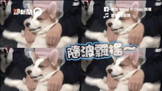 炬华科技：360的华丽外衣难掩一颗勇敢减持的心