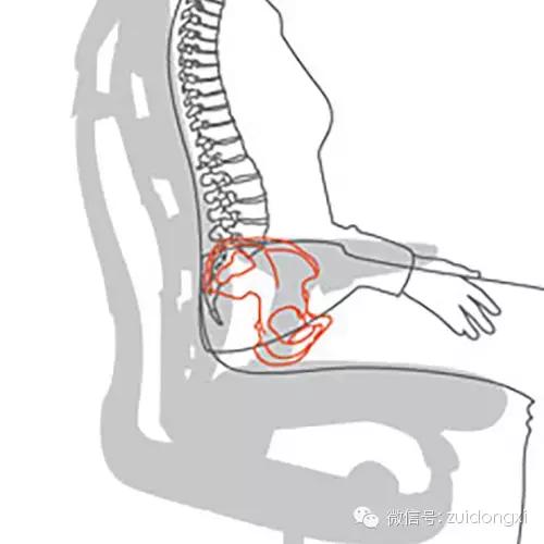 人体工程学椅子坐姿,性价比最高的人体工程学椅子