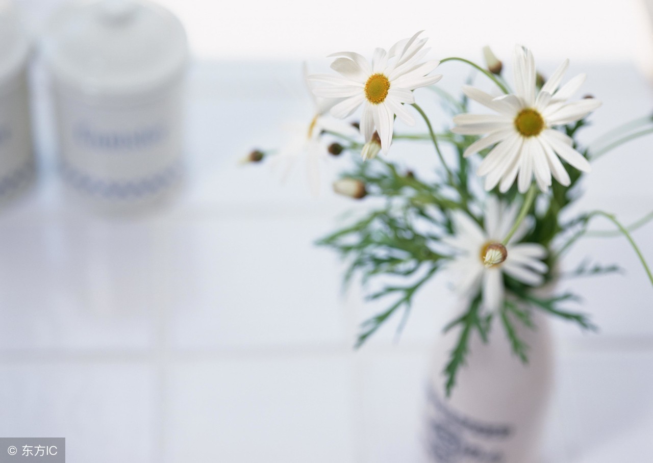 声控配音的言情小说,声控有声小说配音