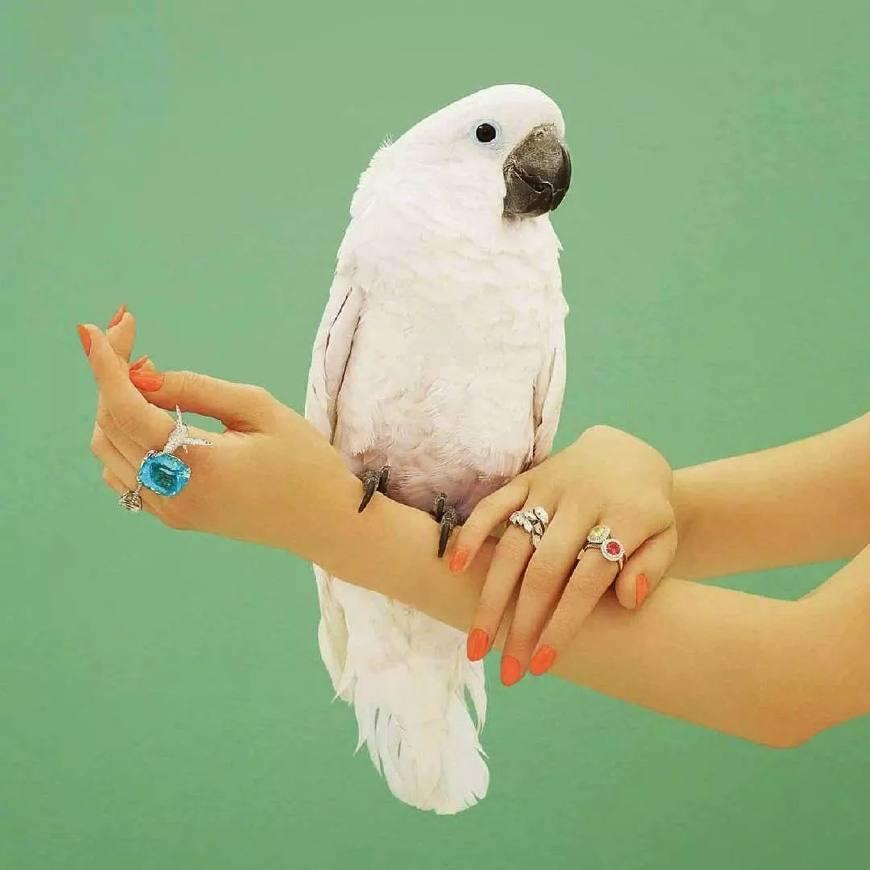 说一口“京片子”的法国时尚缪斯,GUCCI对她都欲罢不能?