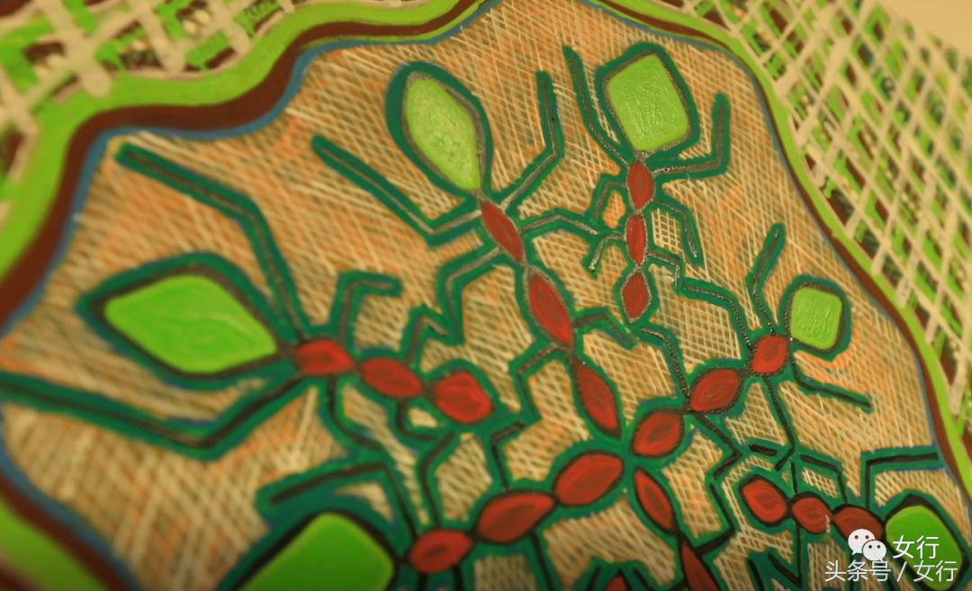 女行｜品尝活着的维生素C绿蚂蚁，半开发的现代土著人部落YARRABAH