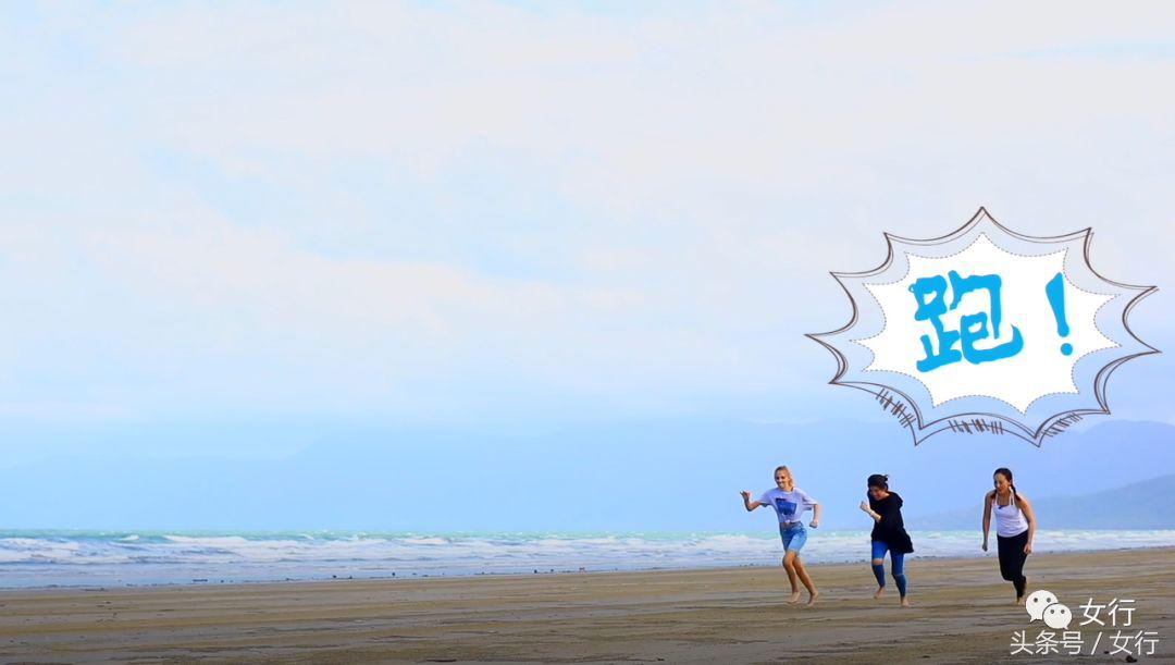 女行｜品尝活着的维生素C绿蚂蚁，半开发的现代土著人部落YARRABAH