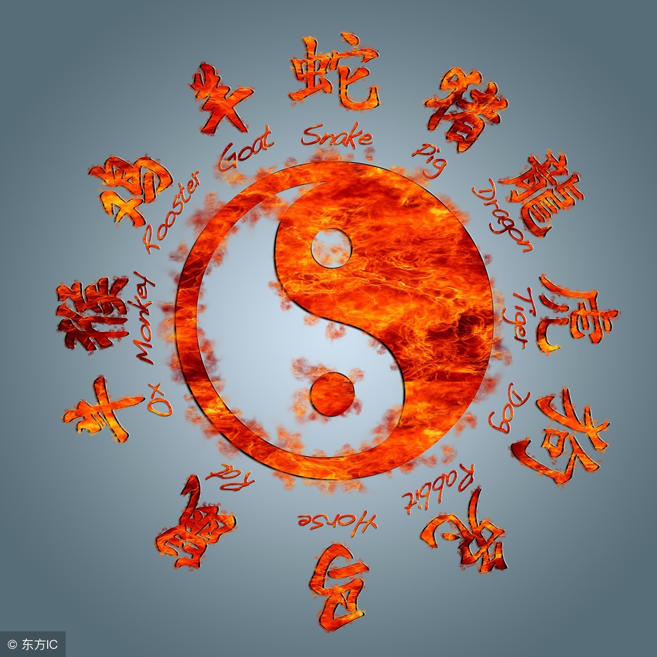 生肖龙跟15生肖在一起最般配,十二生肖龙与什么生肖成夫妻好