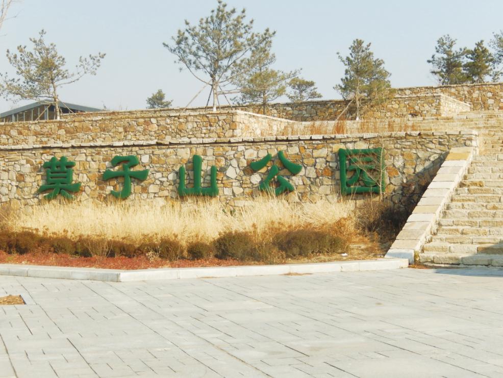 品牌房企纯新盘,浑南新市府板块哪个位置好