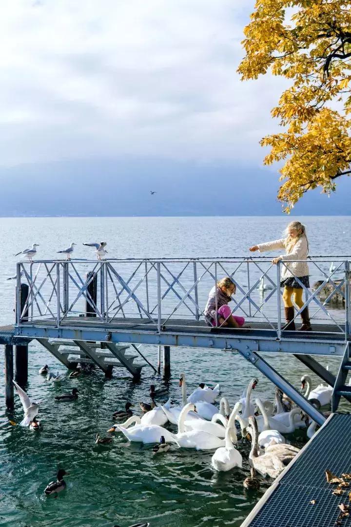 10级代购达人才会知道，这个国家的好货最多！