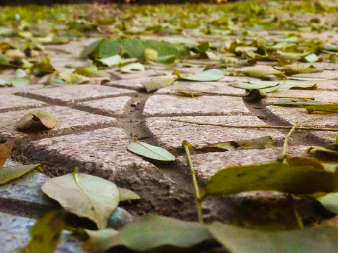 希望你能牵着我的手一直走下去,一辈子只愿牵着你的手