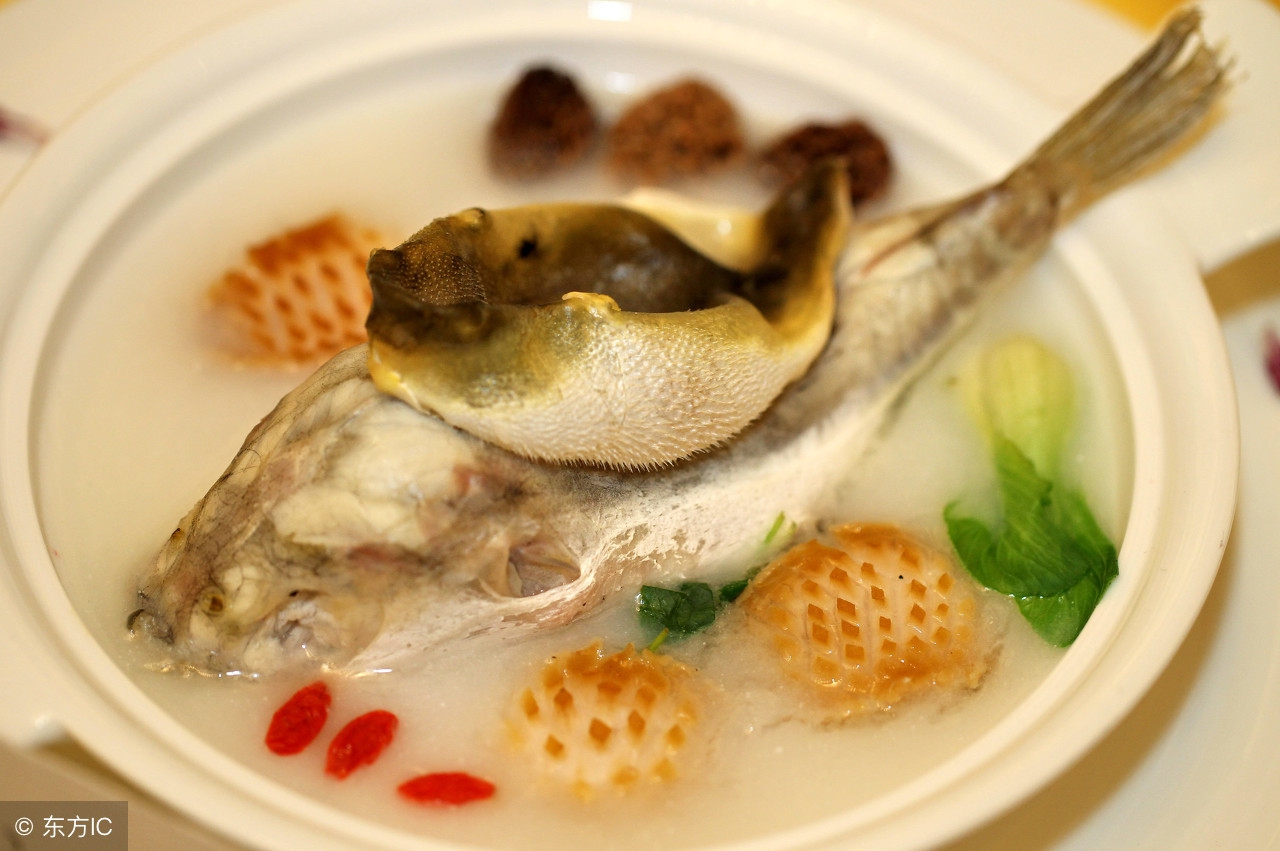 如果吃了有毒的河豚会怎么样,如果吃了一个小河豚怎么办