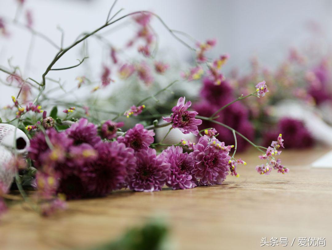 爱优尚垂丝茉莉,爱优尚垂丝茉莉四季开花