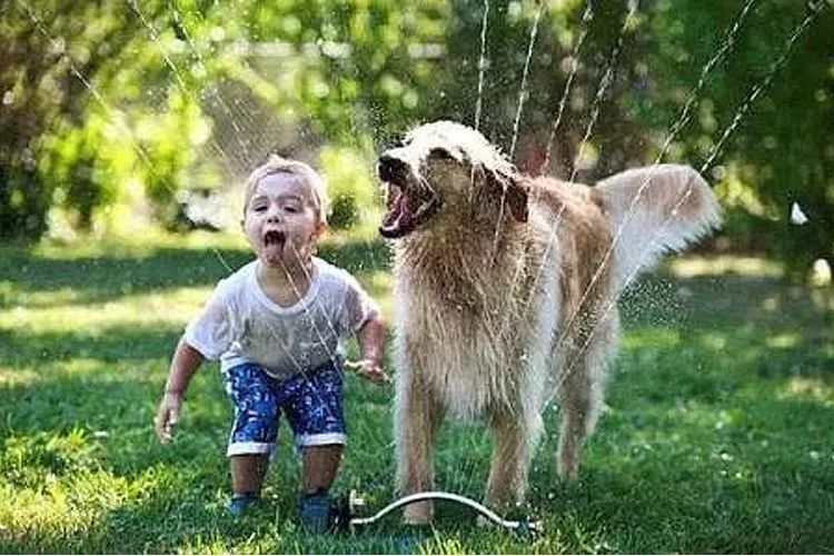 孩子起风疹怎么止痒,孩子疹子的种类