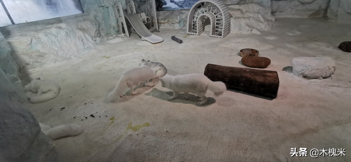 珠海长隆附近美食,珠海长隆海洋王国海底世界