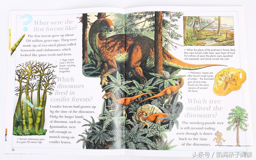 植树节应该教会孩子如何爱护树木,让孩子们过一个有意义的植树节